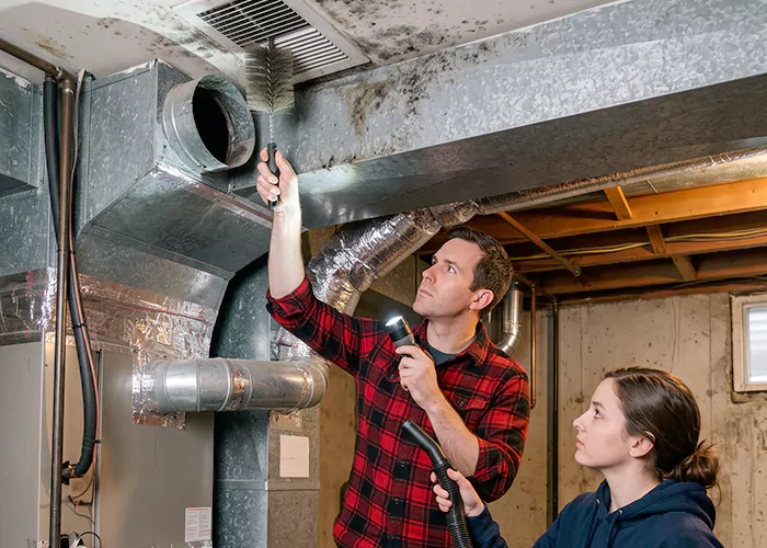 Premier HVAC Mold Remediation Company in Laurel